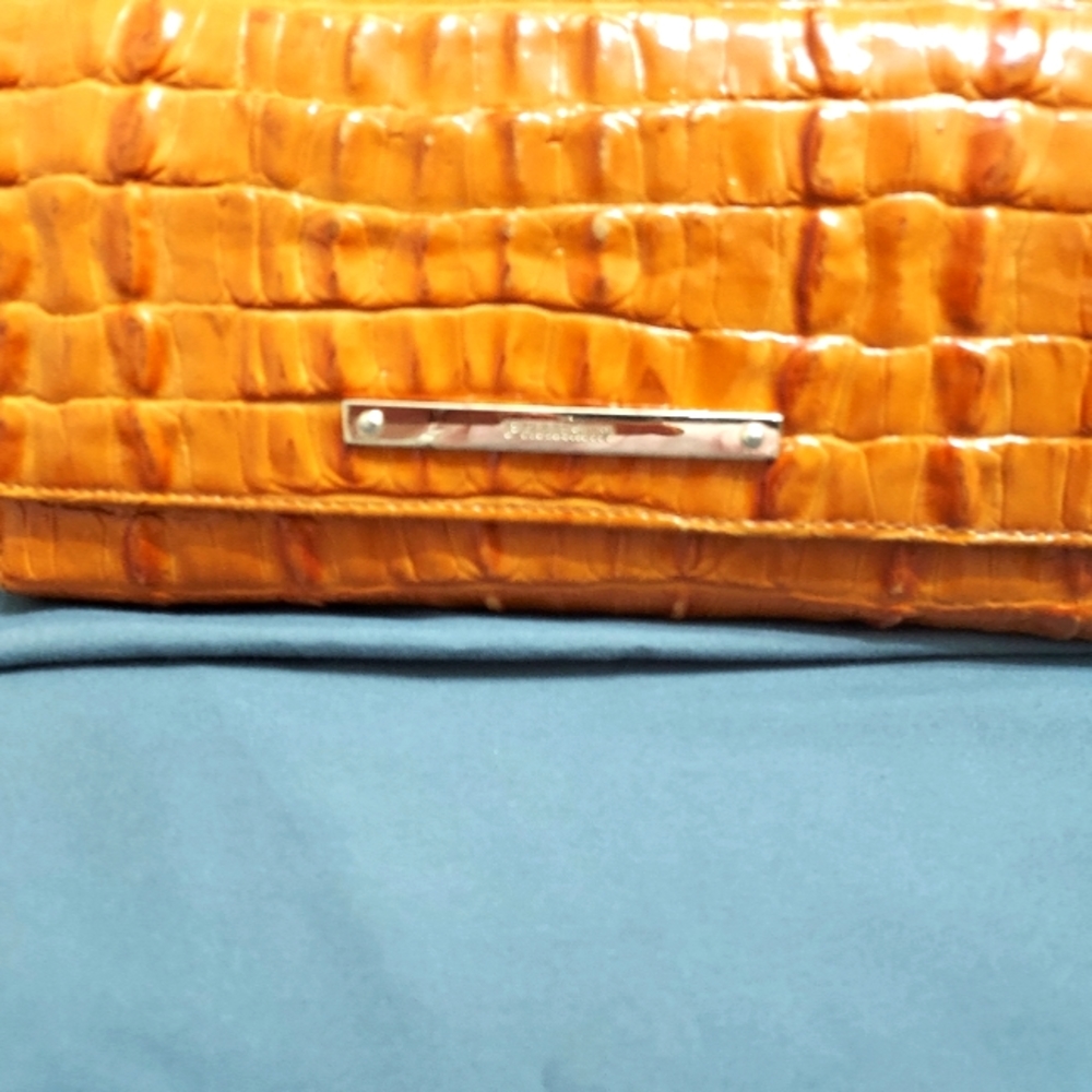 Wallet  Check Book with pen